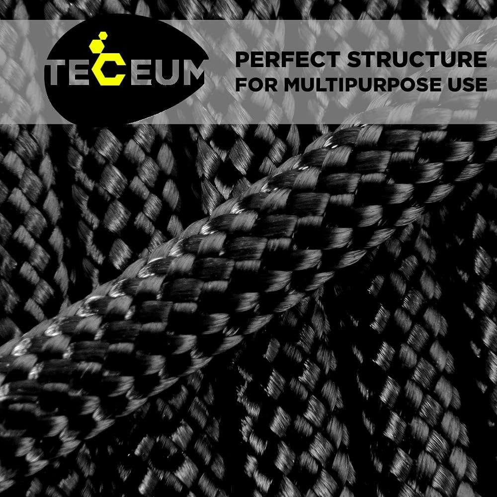 TECEUM Paracord Type III 550 Black –100 ft – 4mm – Tactical Rope MIL-SPEC – Outdoor para Cord –Camping Hiking Fishing Gear and Equipment – EDC Parachute Cord –Strong Survival Rope 016
